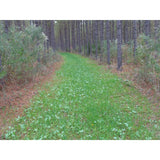 Imperial Whitetail No-Plow