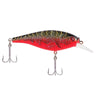 Berkley Flicker Shad Shallow 2-3/4in