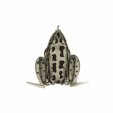 Lunkerhunt Lunker Frog