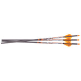 Ravin Match Weight Lighted Arrows 400Gr .001 3PK - R134