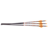 Ravin Match Weight Lighted Arrows 400Gr .003 3PK - R133