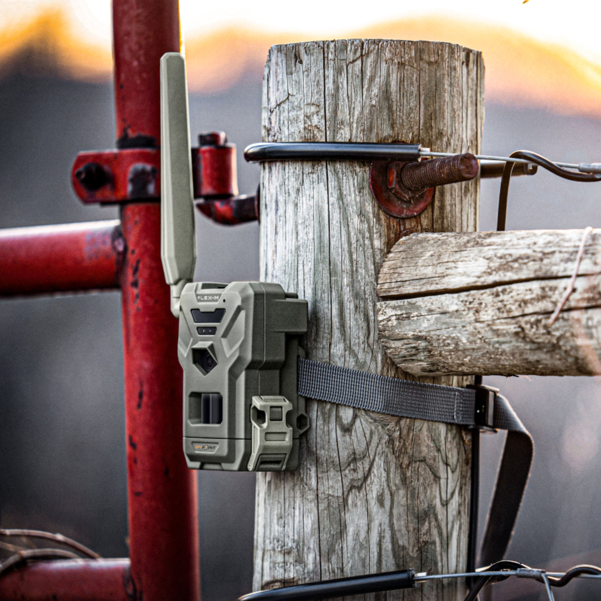 Spypoint FLEX-M Cellular Trail Camera
