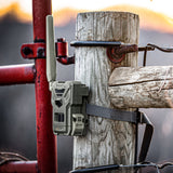 Spypoint FLEX-M Cellular Trail Camera