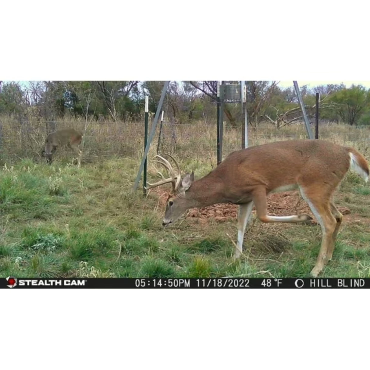 Stealth Cam Browtine 18MP Trail Camera