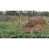 Stealth Cam Browtine 18MP Trail Camera