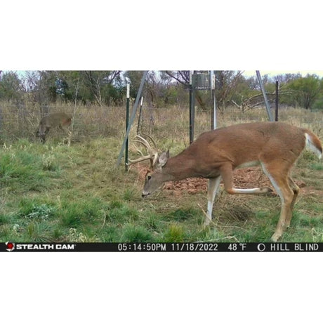 Stealth Cam Browtine 18MP Trail Camera