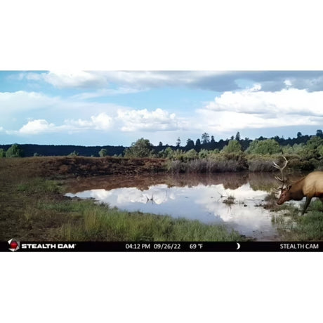 Stealth Cam Browtine 18MP Trail Camera
