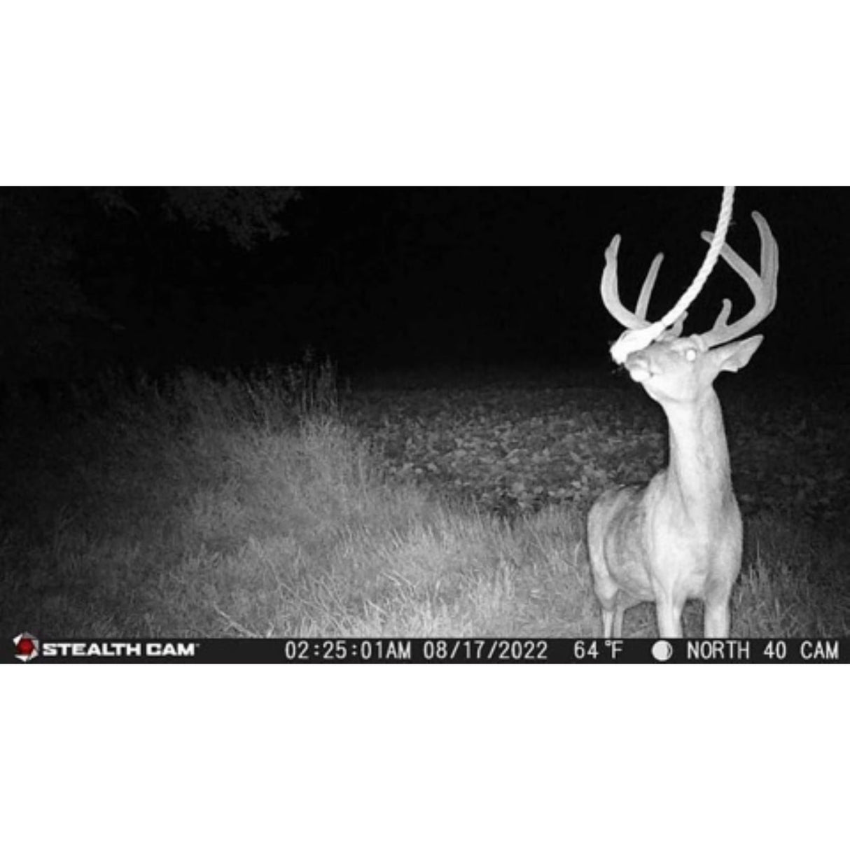 Stealth Cam Browtine 18MP Trail Camera