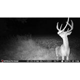 Stealth Cam Browtine 18MP Trail Camera