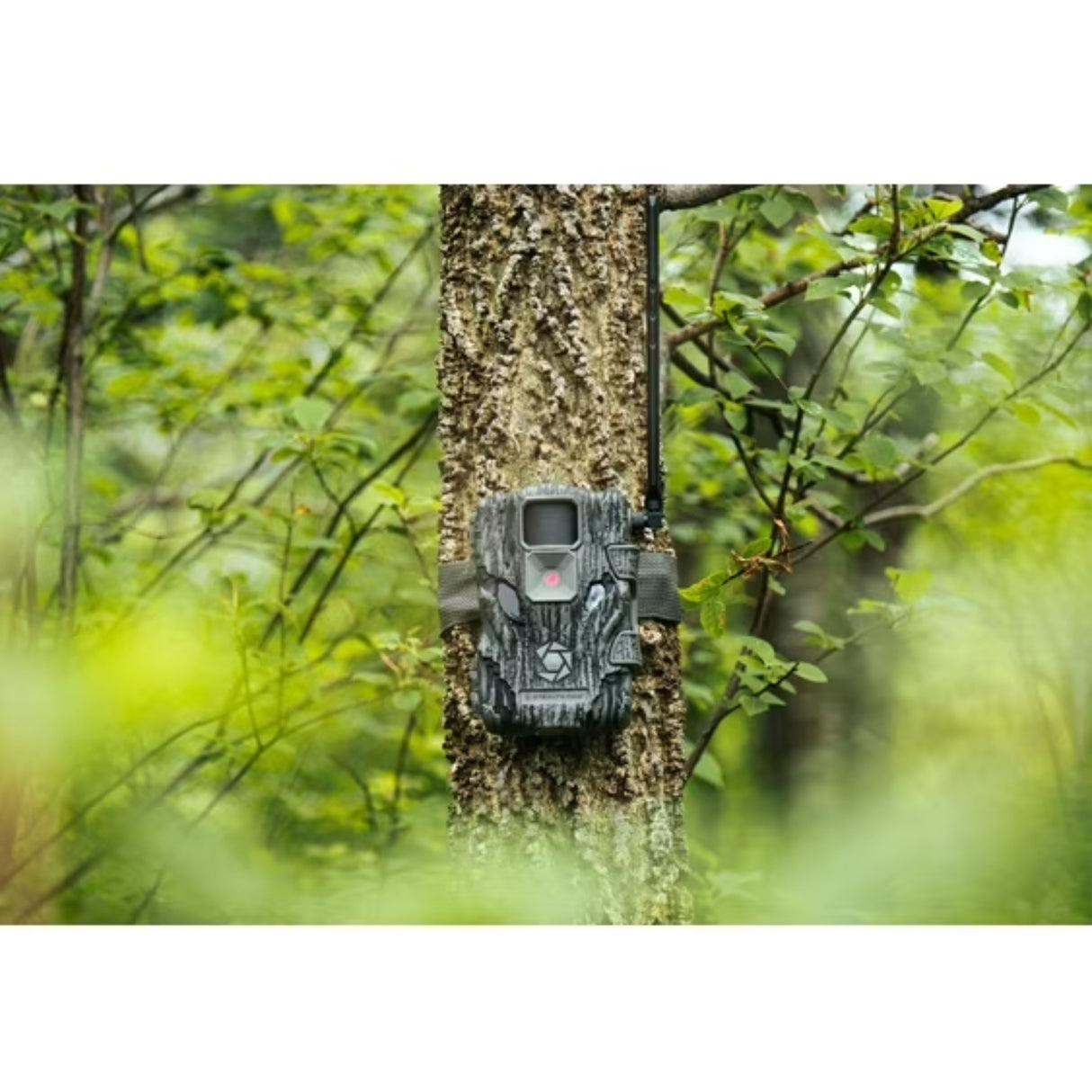 Stealth Cam Fusion X 26MP Trail Camera AT&T
