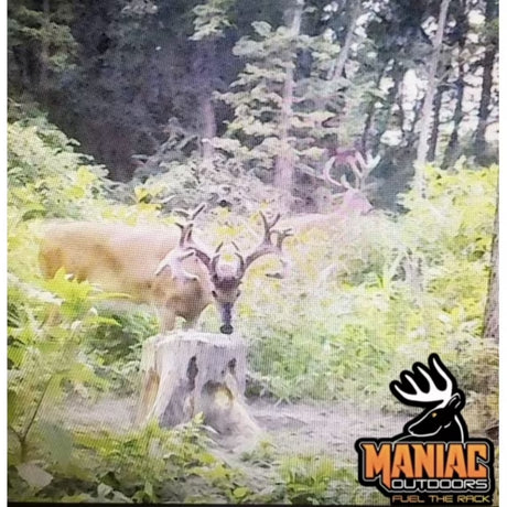 Maniac Outdoors Sweet Corn & Molasses Mineral Supplement & Attractant