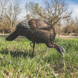 Flextone Thunder Chick Feeder Decoy FLX-FLXDY314