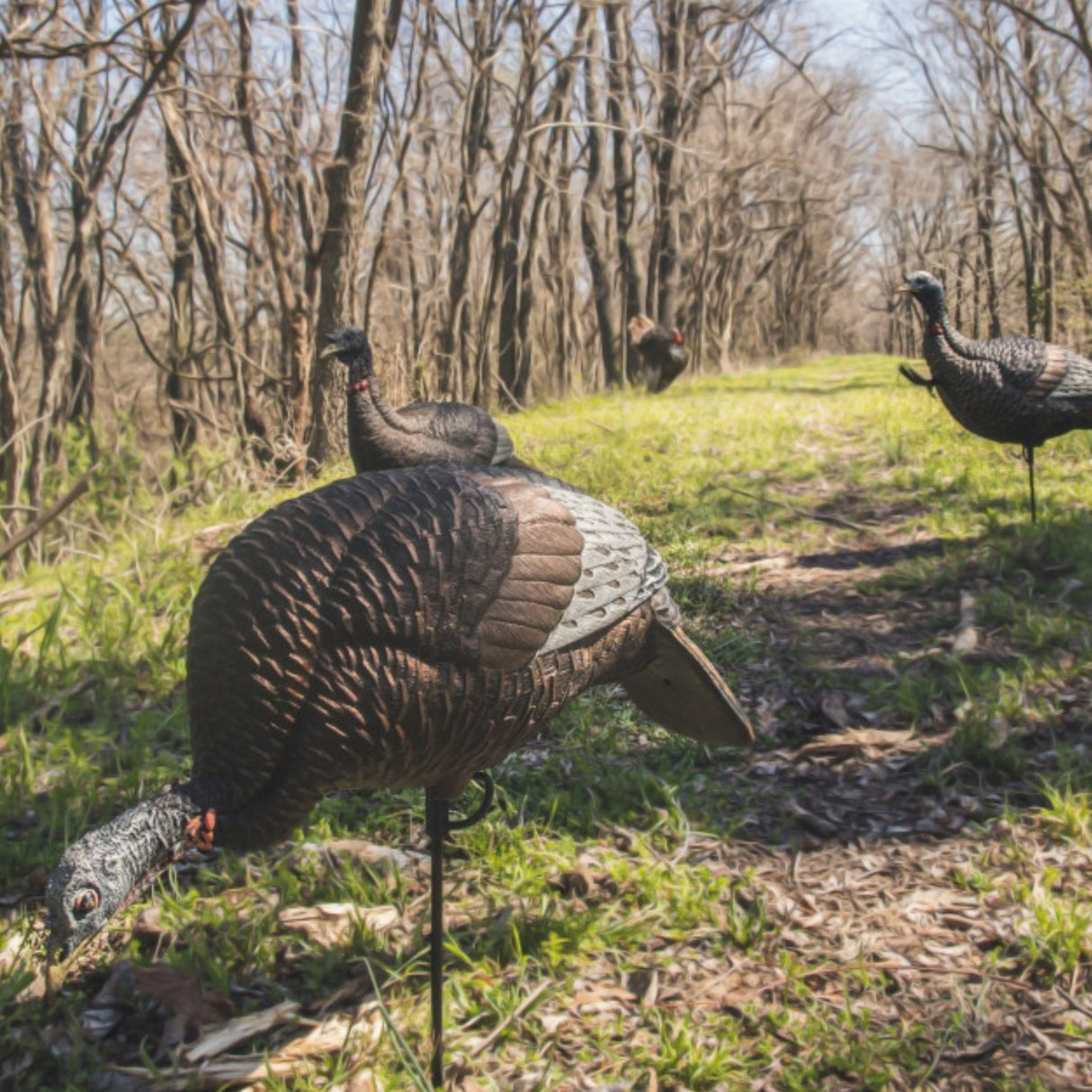 Flextone Thunder Chick Feeder Decoy FLX-FLXDY314