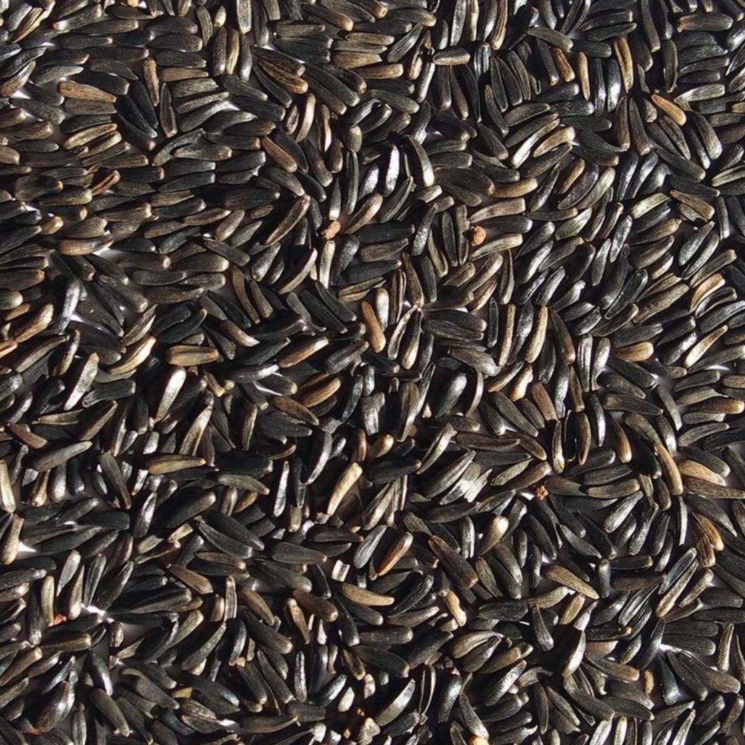 Ideal 10# Niger Seed