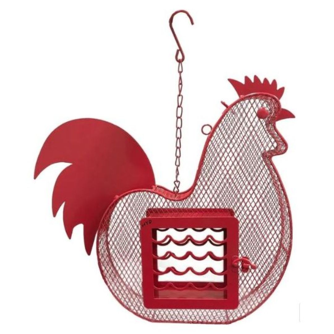 Suet 'n Seed Bird Feeder for Suet Cakes and Sunflower Seeds