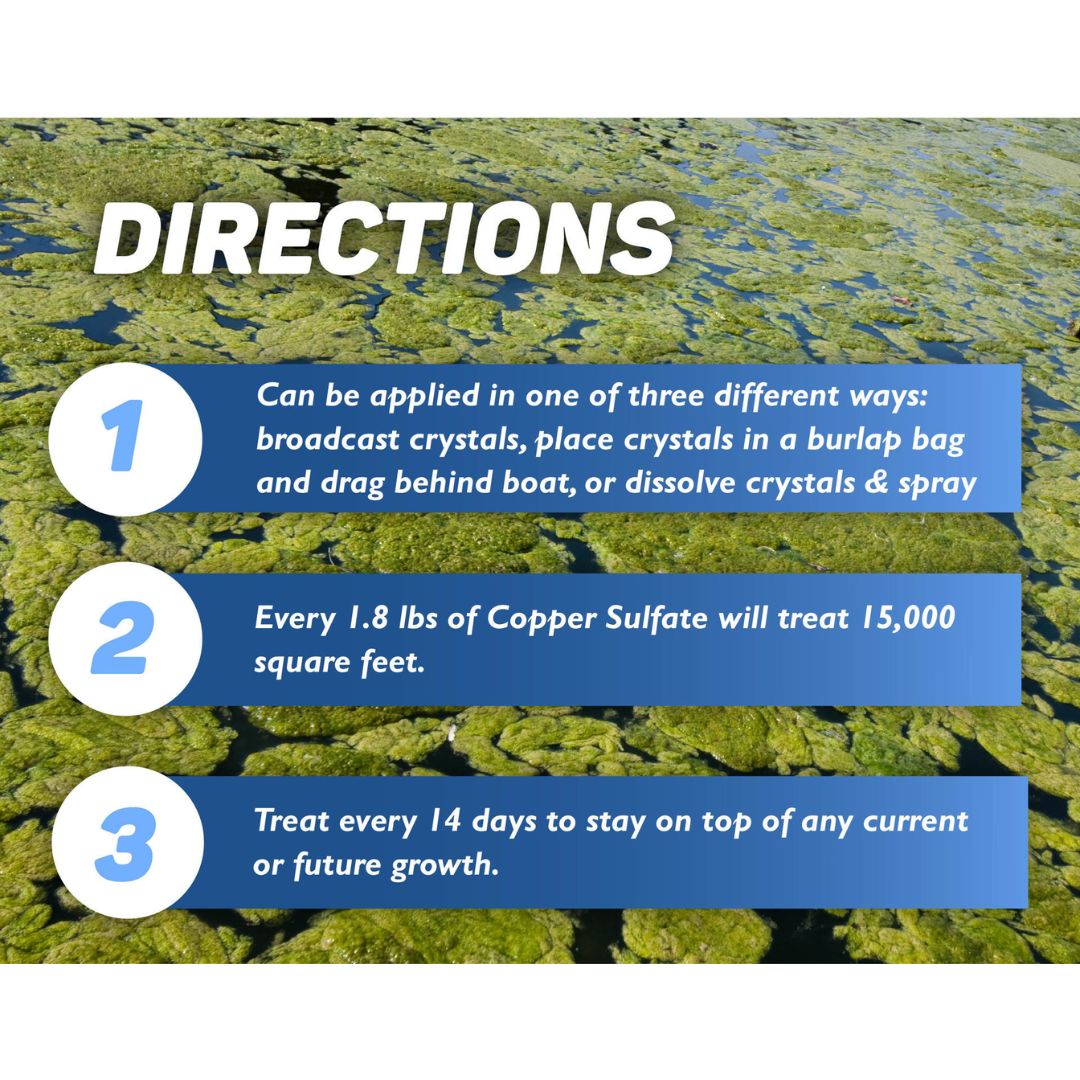 Crystal Blue Copper Sulfate Smart Crystals 5lb