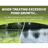 Crystal Blue - Crystal Plex Algae Control - 1 Gallon