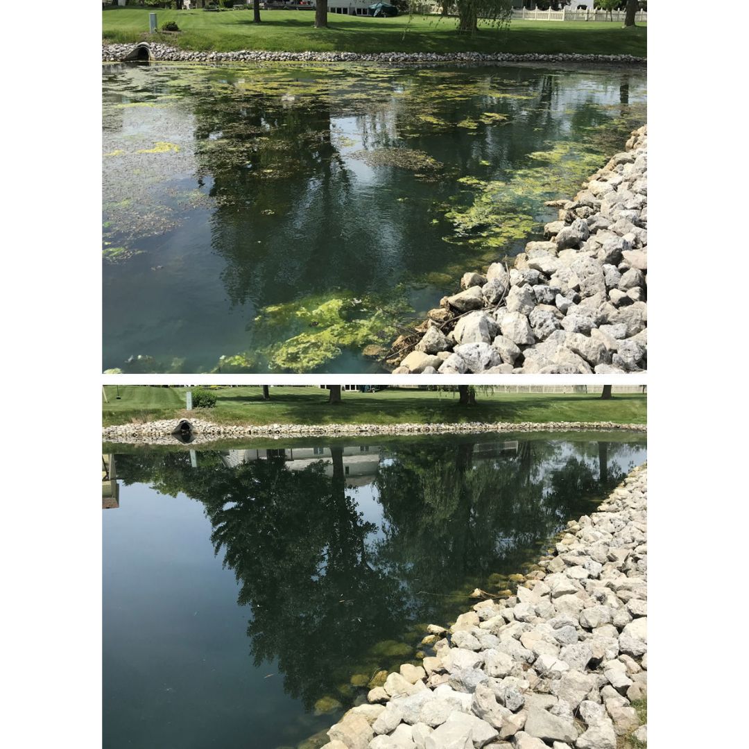 Crystal Blue - Crystal Plex Algae Control - 1 Gallon