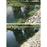 Crystal Blue - Crystal Plex Algae Control - 1 Gallon