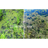 Crystal Blue - Crystal Plex Algae Control - 1 Gallon