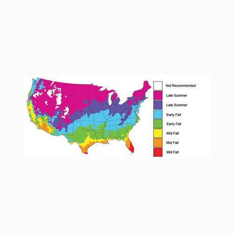 Ani-Logics Crush Radishes Food Plot - 1lb