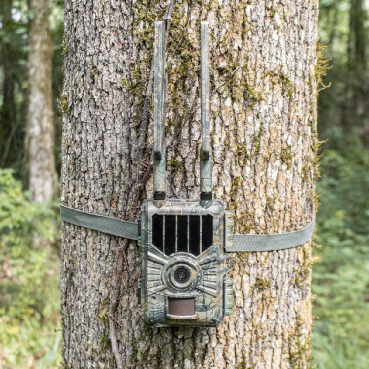 WiseEye Data Cam 2 Trail Camera
