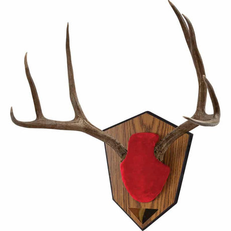 Allen Buck Horn Mounting Kit