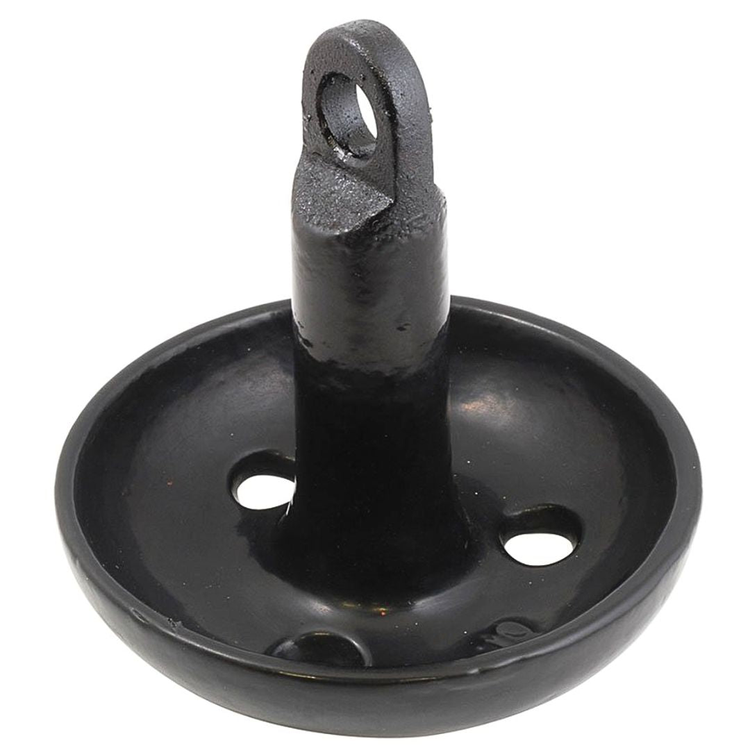 Danielson 10 lb Mushroom Anchor