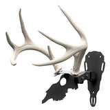 Hunters Specialties Antler Shed Mount