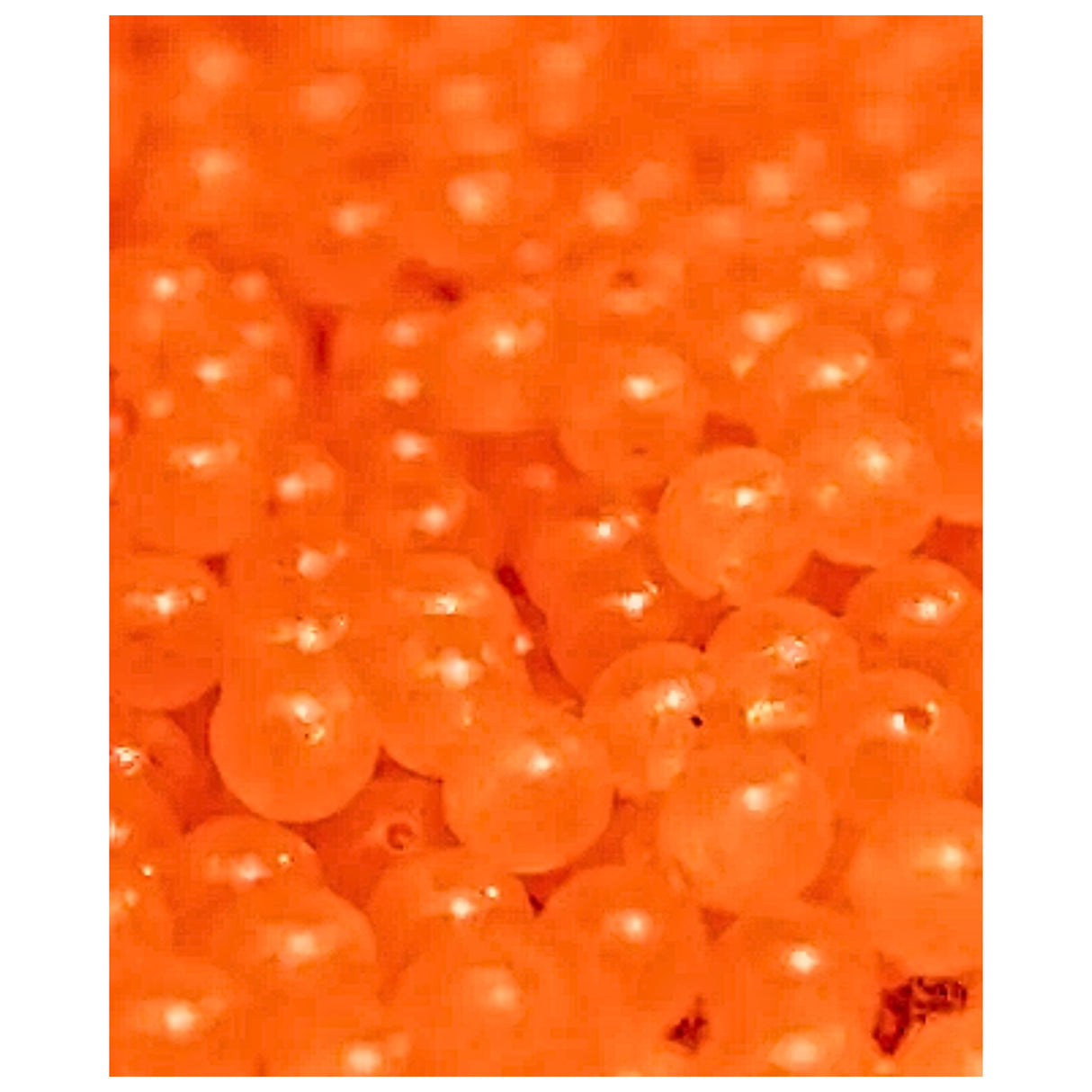Great Lakes Steelhead Beads