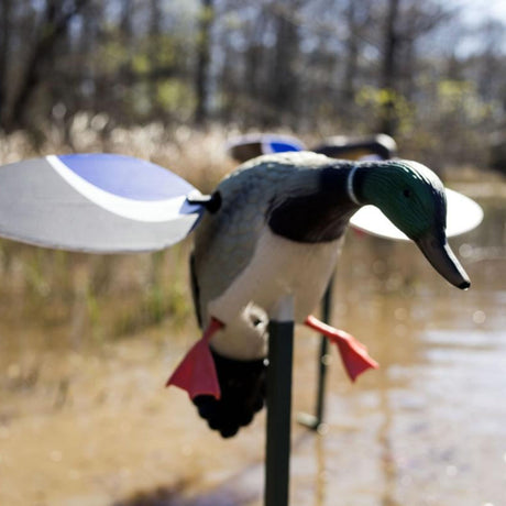 Mojo Outdoors Baby MOJO Mallard Drake Spinning Wing Decoy HW4401