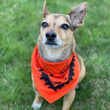 Ben's Tick & Insect Repellent Bandana with Insect Shield