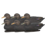 Zink Black Duck Floater Decoys 6pk