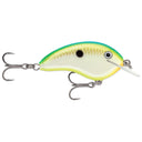 Rapala Ott's Garage Tiny
