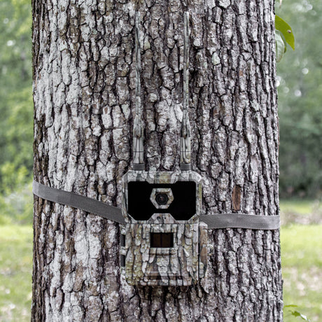 WiseEye Data Cam 2 No Glow DC-2