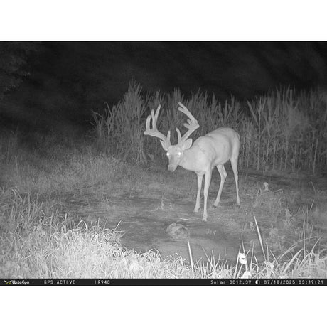 WiseEye Data Cam 2 No Glow DC-2