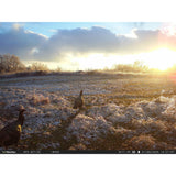 WiseEye Data Cam 2 No Glow DC-2