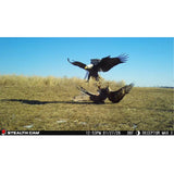 Stealth Cam Deceptor Max 3.0 50MP Cellular Trail Camera with 1440p Video