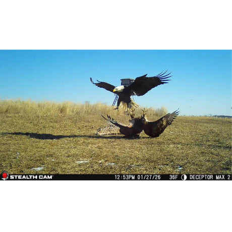 Stealth Cam Deceptor Max 3.0 50MP Cellular Trail Camera with 1440p Video