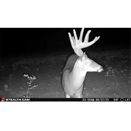 Stealth Cam Deceptor Max 3.0 50MP Cellular Trail Camera with 1440p Video