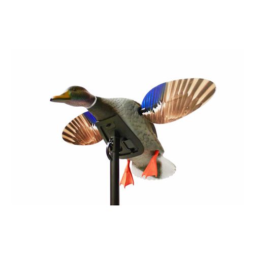 Mojo Mini Mallard Drake