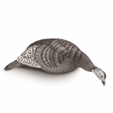 HS Strut Lite Feeding Hen