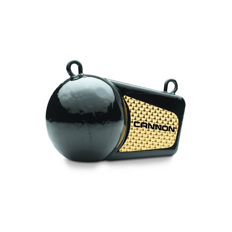 Cannon Flash Weight