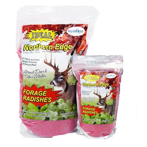Northern Edge Forage Radishes - 10lbs