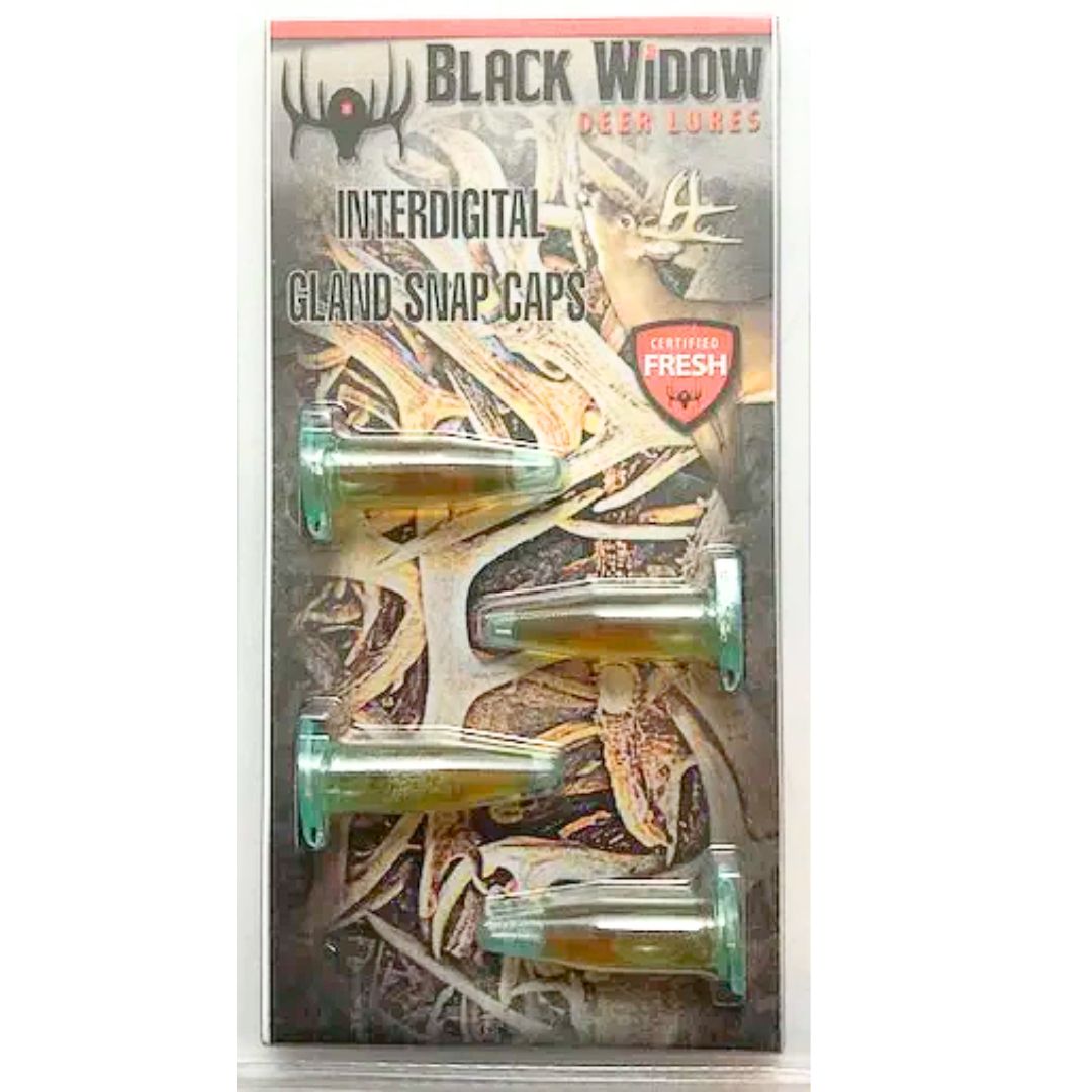 Black Widow Interdigital Gland Snap Cap