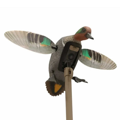 Mojo Outdoors Elite Series Green Wing Teal Duck Decoy HW2474-3P