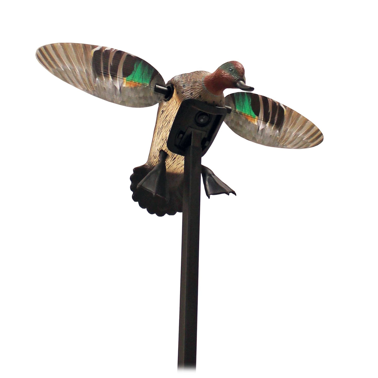 Mojo Outdoors Elite Series Green Wing Teal Duck Decoy HW2474-3P