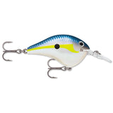Rapala DT Dives-To Series