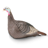 HS Strut-Lite Standing Hen Decoy