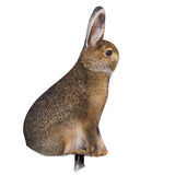 Montana Miss Hoptober - Decoy